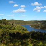 Flora and Vegetation Condition Assessments in the Tarkine, north-west Tasmania 2011